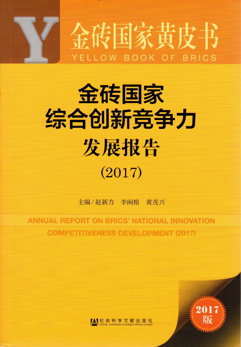 艹鸡巴视频在线免费看金砖国家综合创新竞争力发展报告（2017）